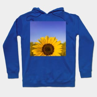 sunflower Hoodie